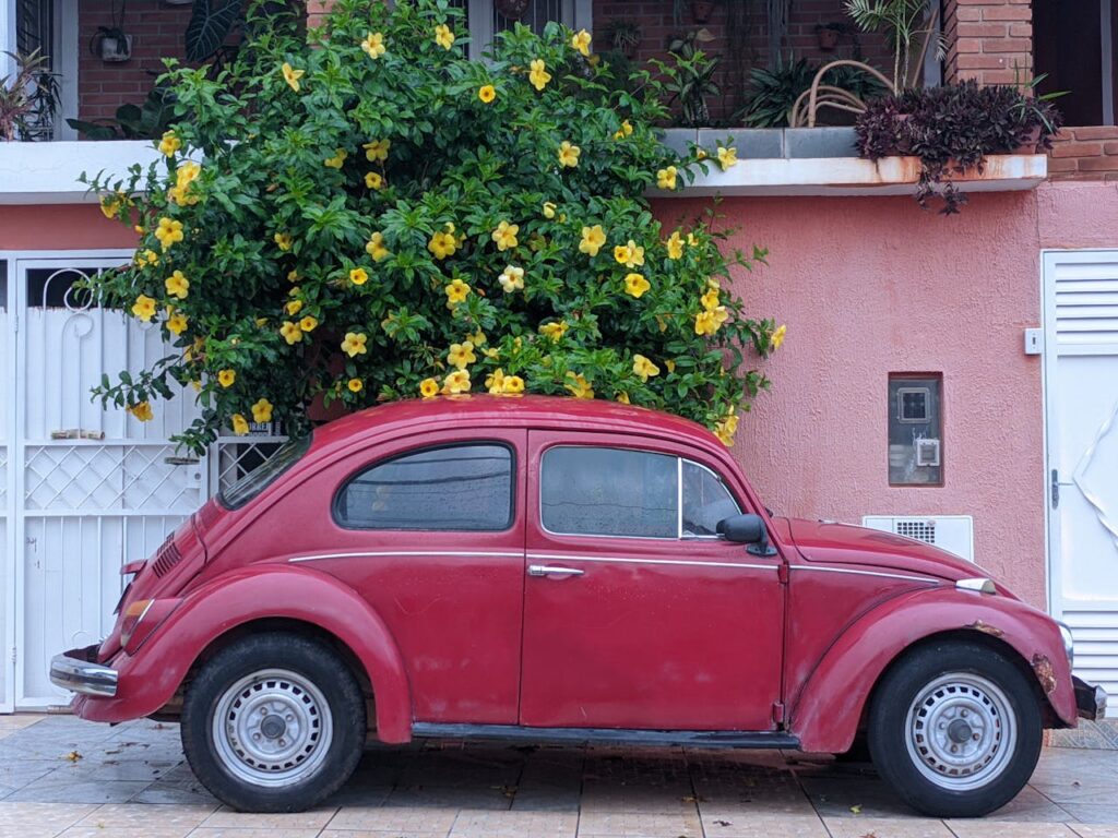 red vw bug
